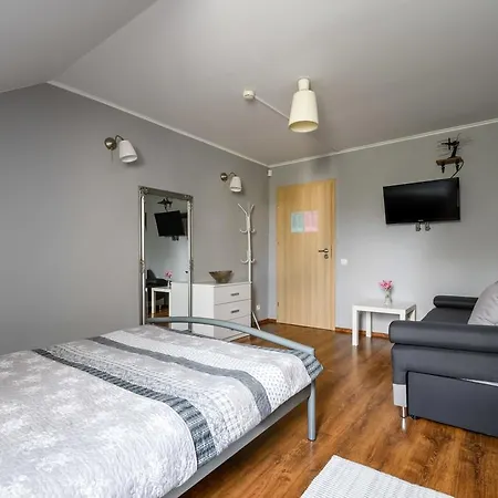 Krokodyl Auberge de jeunesse