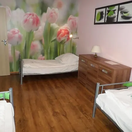 Krokodyl Hostel *