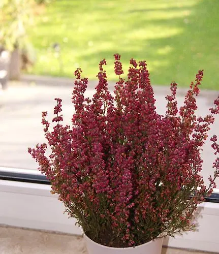 Hostel Krokodyl Warszawa