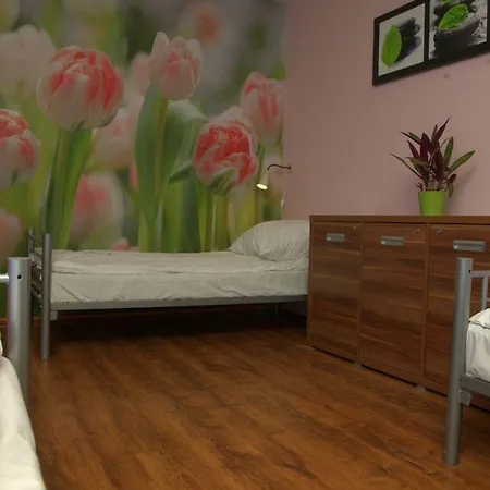 Krokodyl * Varsóvia